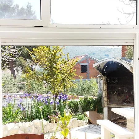 Sunny1 *